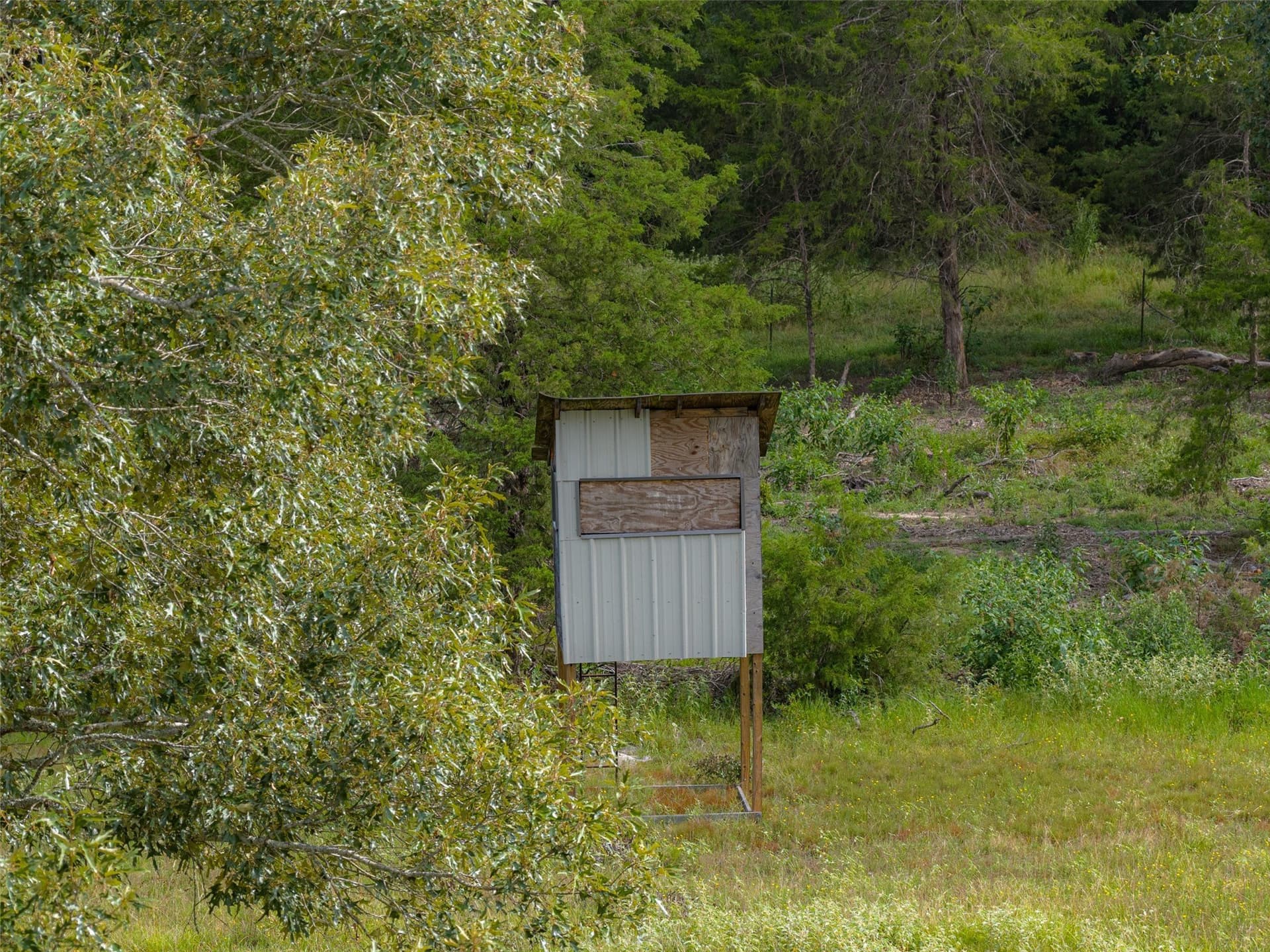 129 acres in Henderson County - photo 31