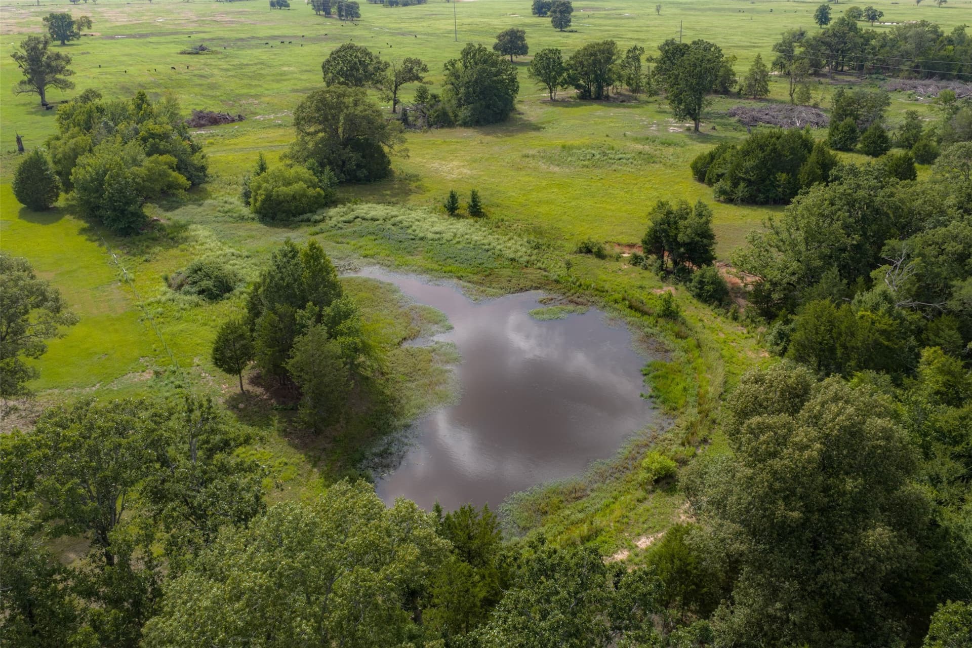 129 acres in Henderson County - photo 37