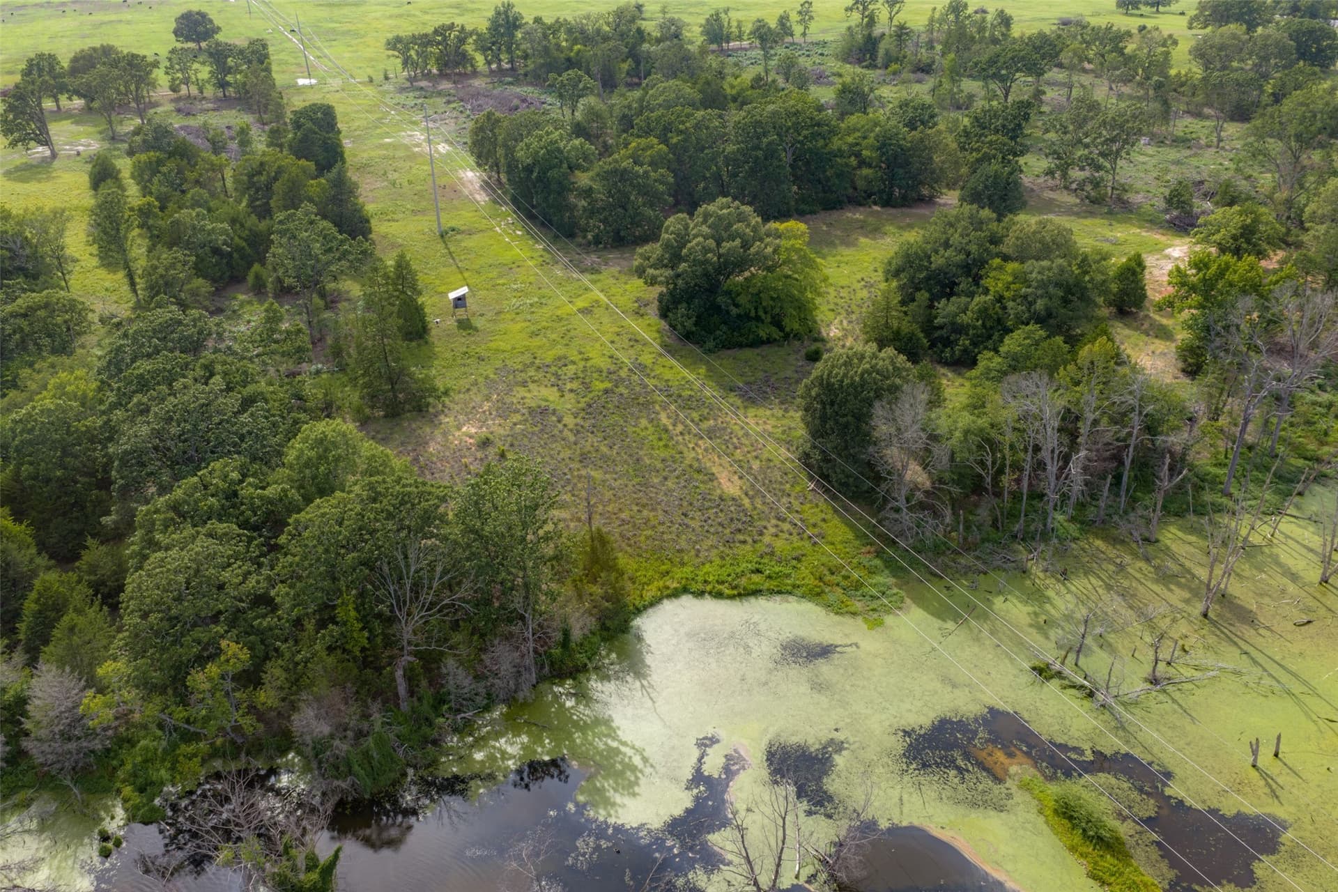 129 acres in Henderson County - photo 30