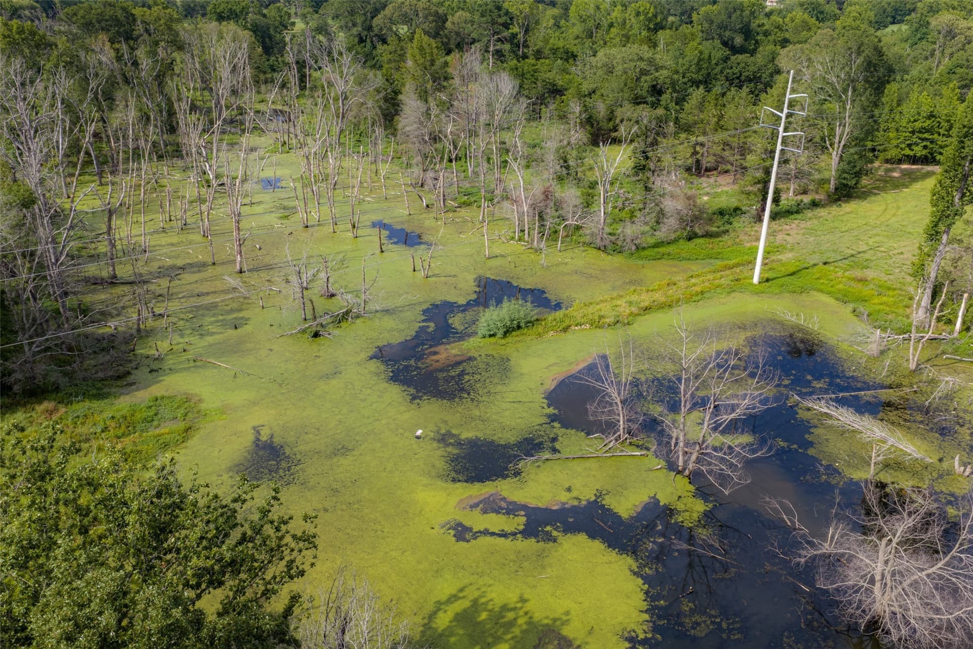 129 acres in Henderson County - photo 34