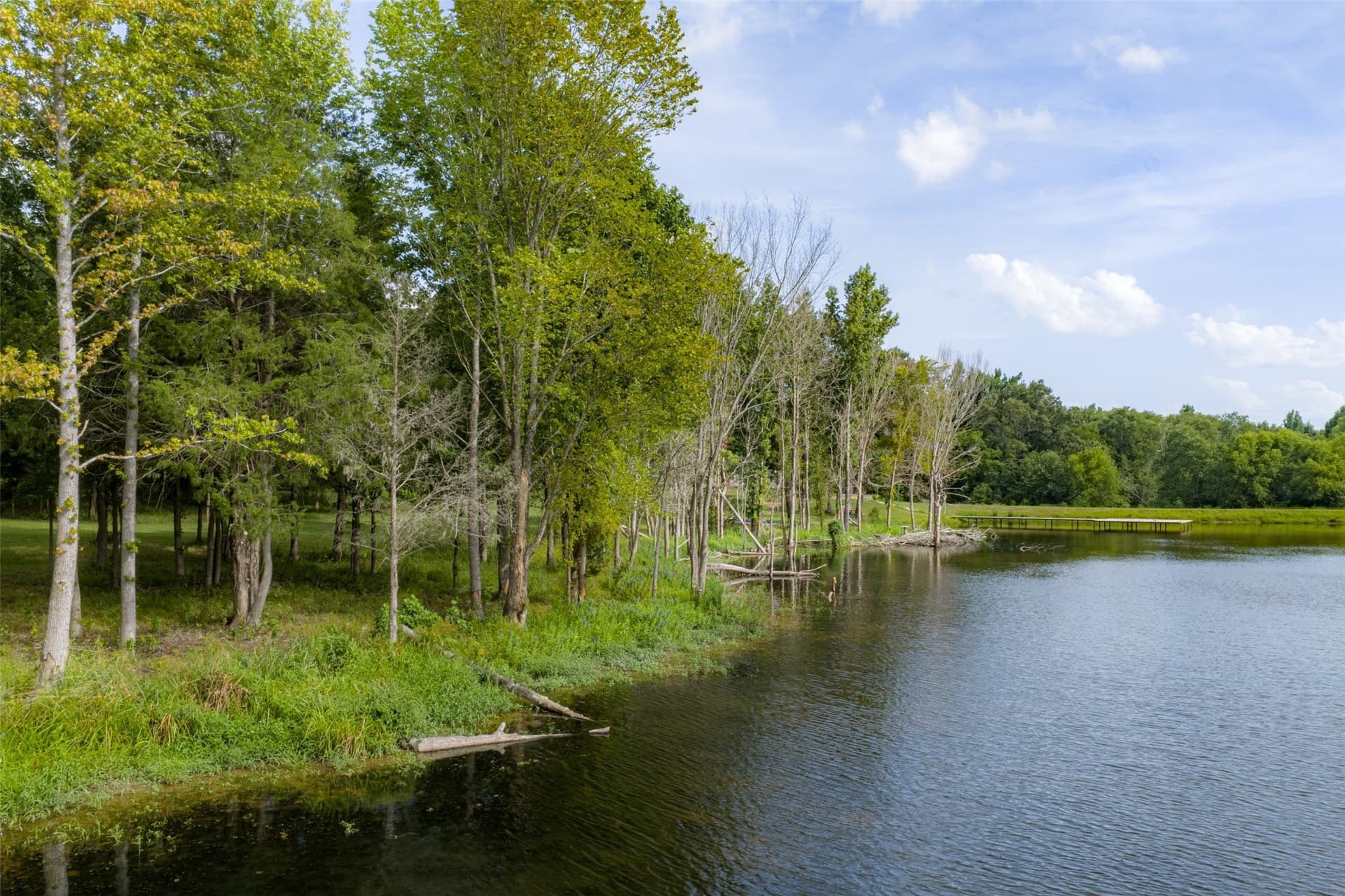 129 acres in Henderson County - photo 39