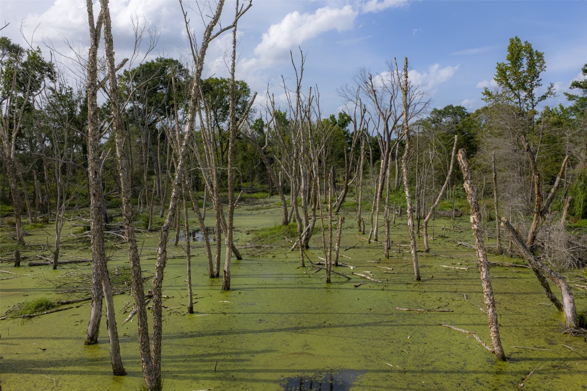 129 acres in Henderson County - photo 32