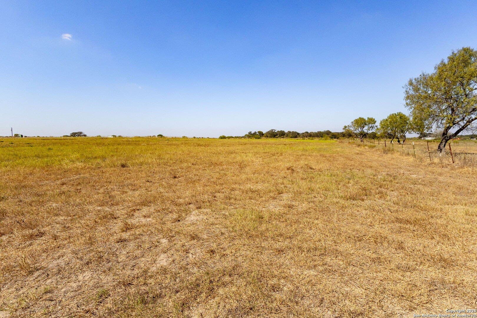5 acres in Guadalupe County gallery image 4