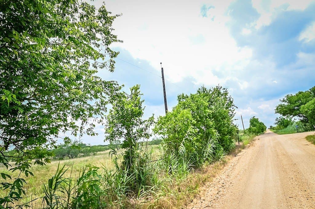 10.01 acres in Gonzales County gallery image 3