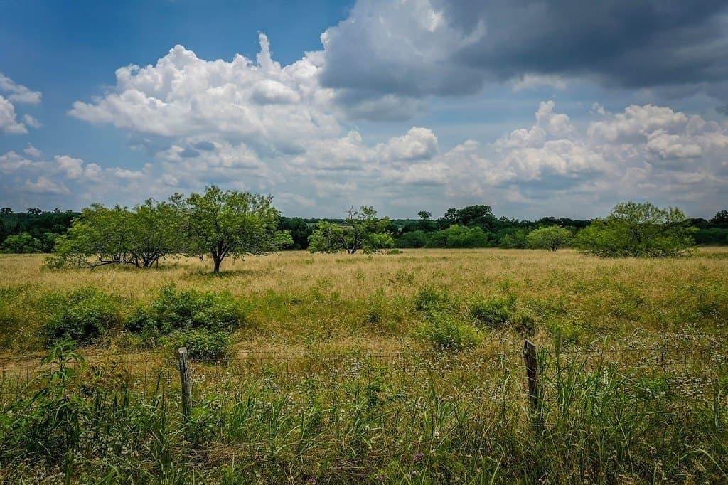10.01 acres in Gonzales County featured view
