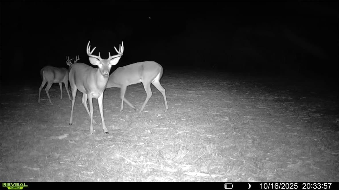 11 acres in Karnes County gallery image 2