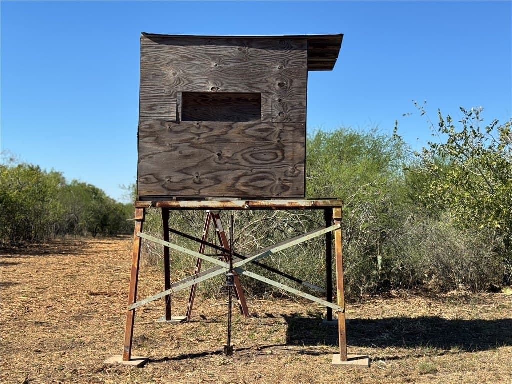 11 acres in Karnes County gallery image 3