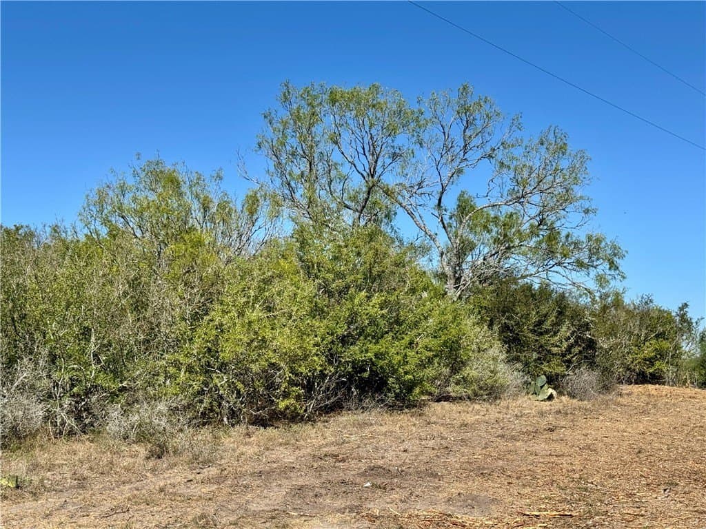 11 acres in Karnes County featured view