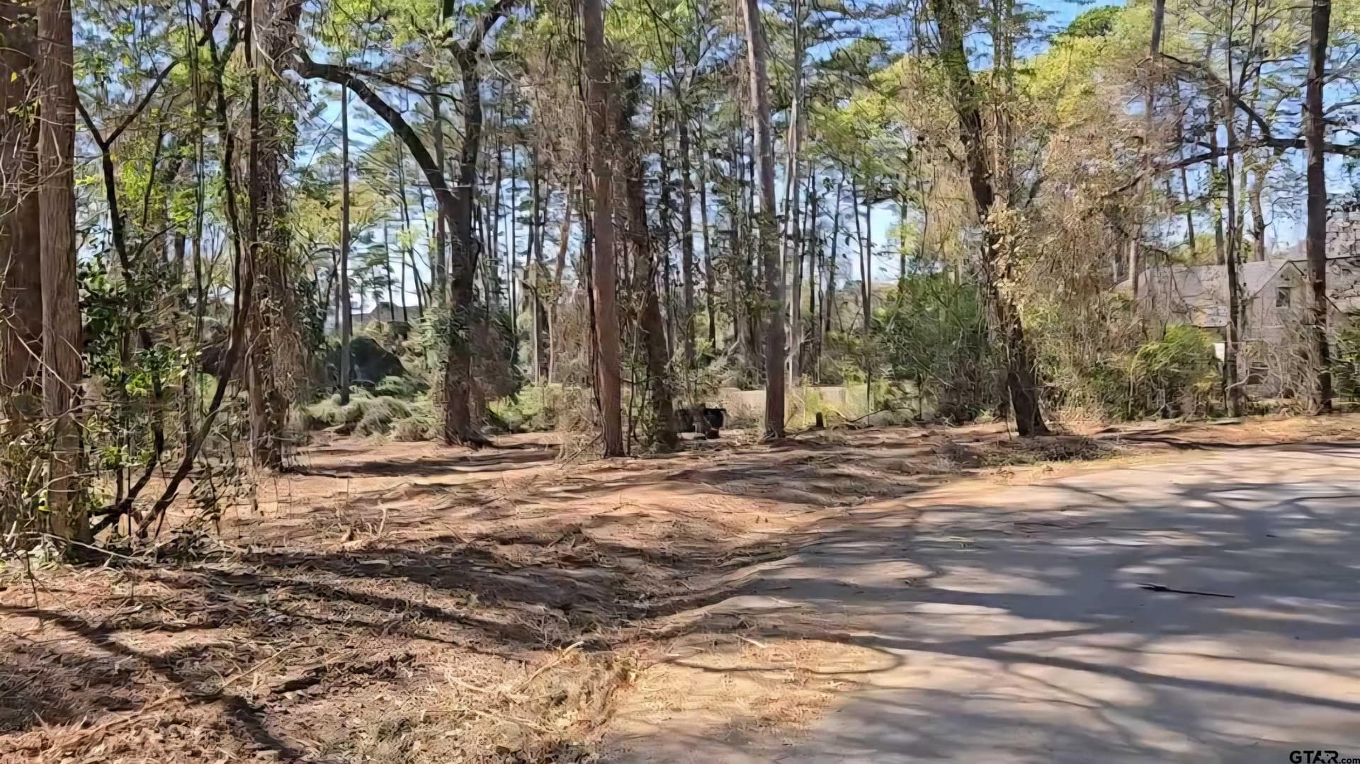 0.54 acres in Smith County gallery image 3