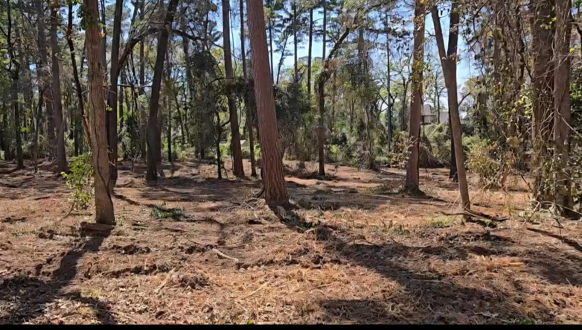 0.54 acres in Smith County featured view