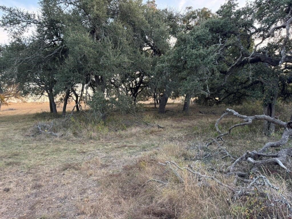 116.2 acres in Williamson County - photo 4