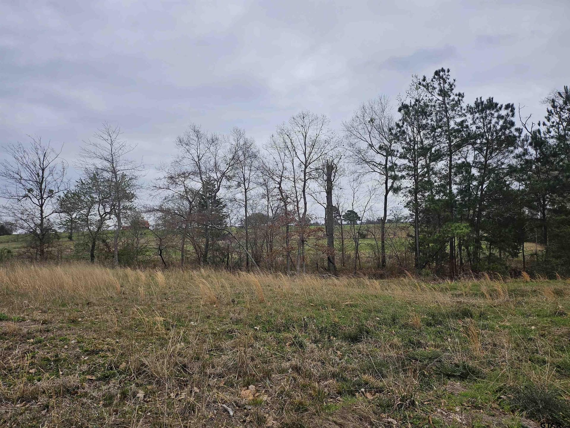 2.36 acres in Smith County - photo 3