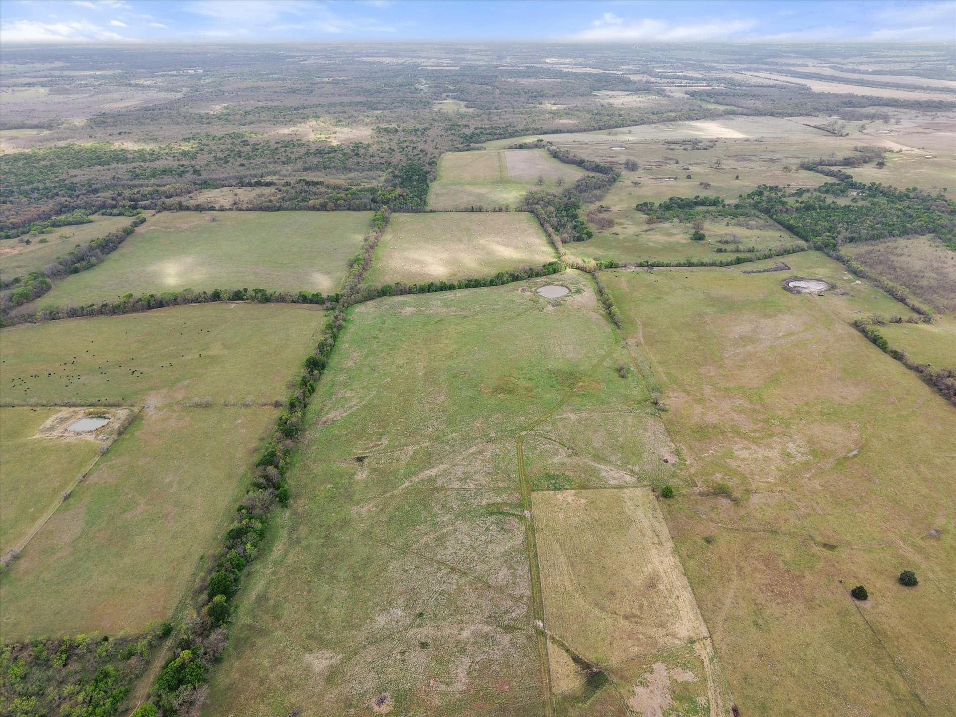 96.14 acres in Navarro County - photo 19