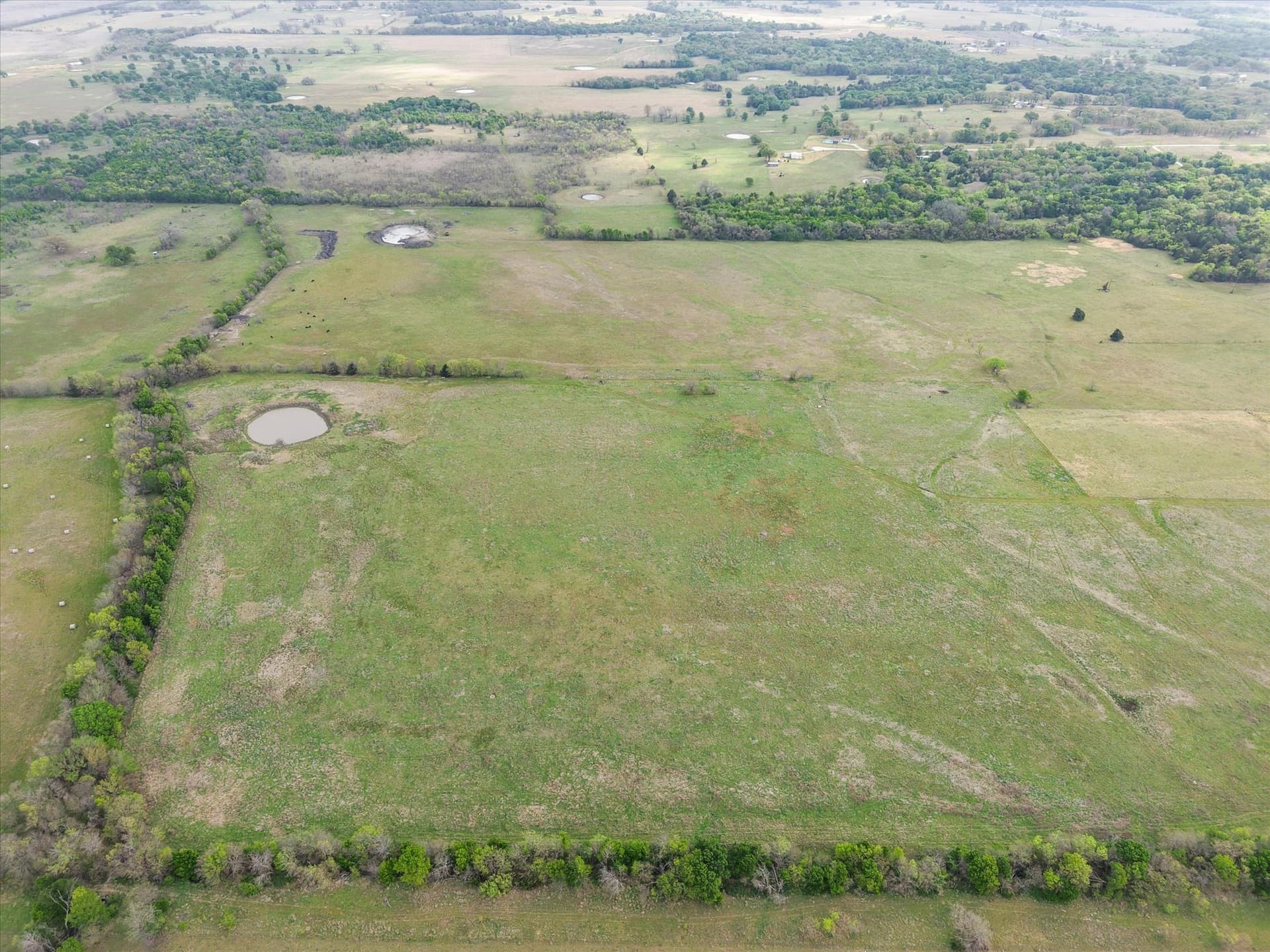 96.14 acres in Navarro County - photo 15