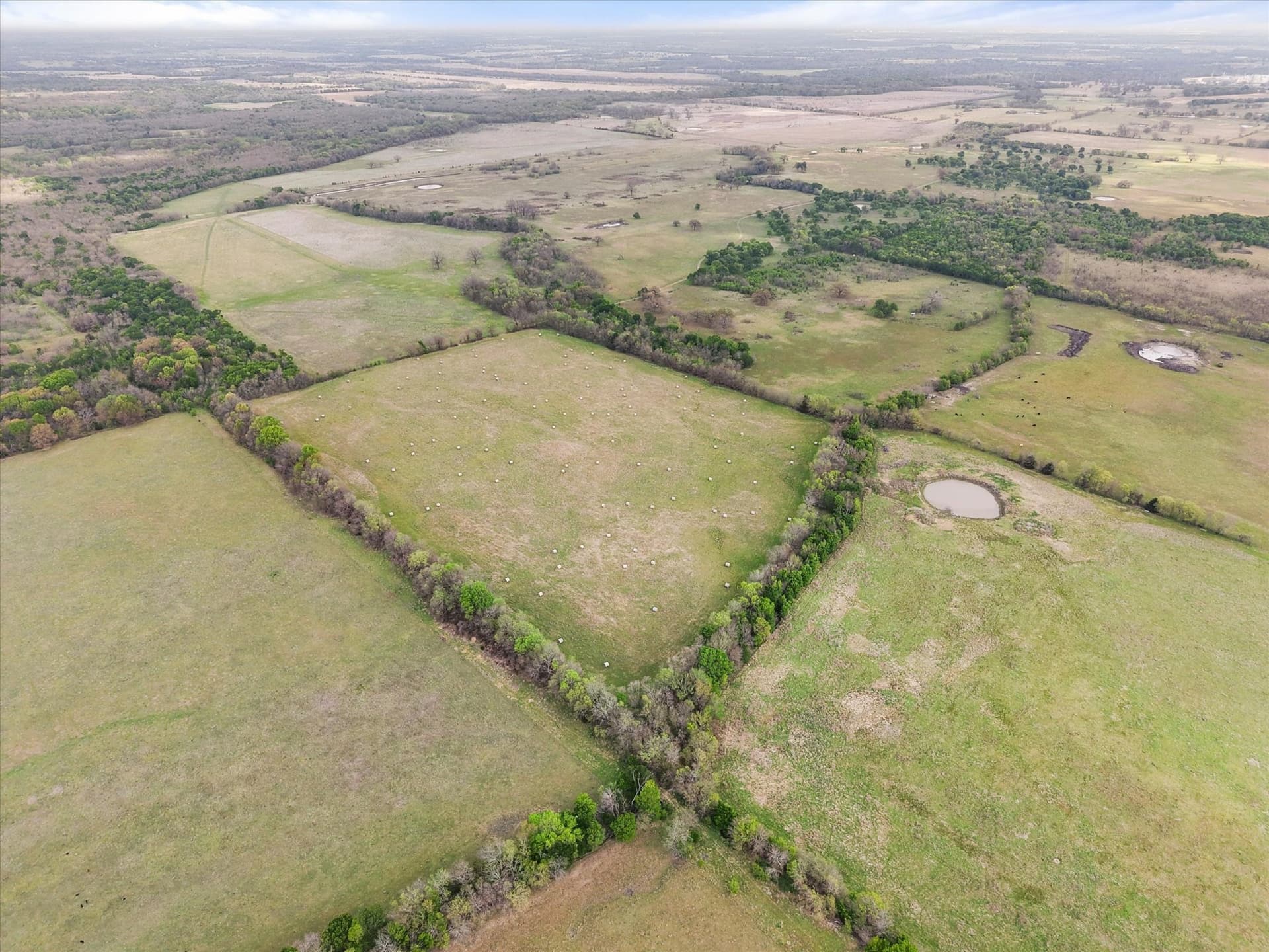 96.14 acres in Navarro County - photo 16