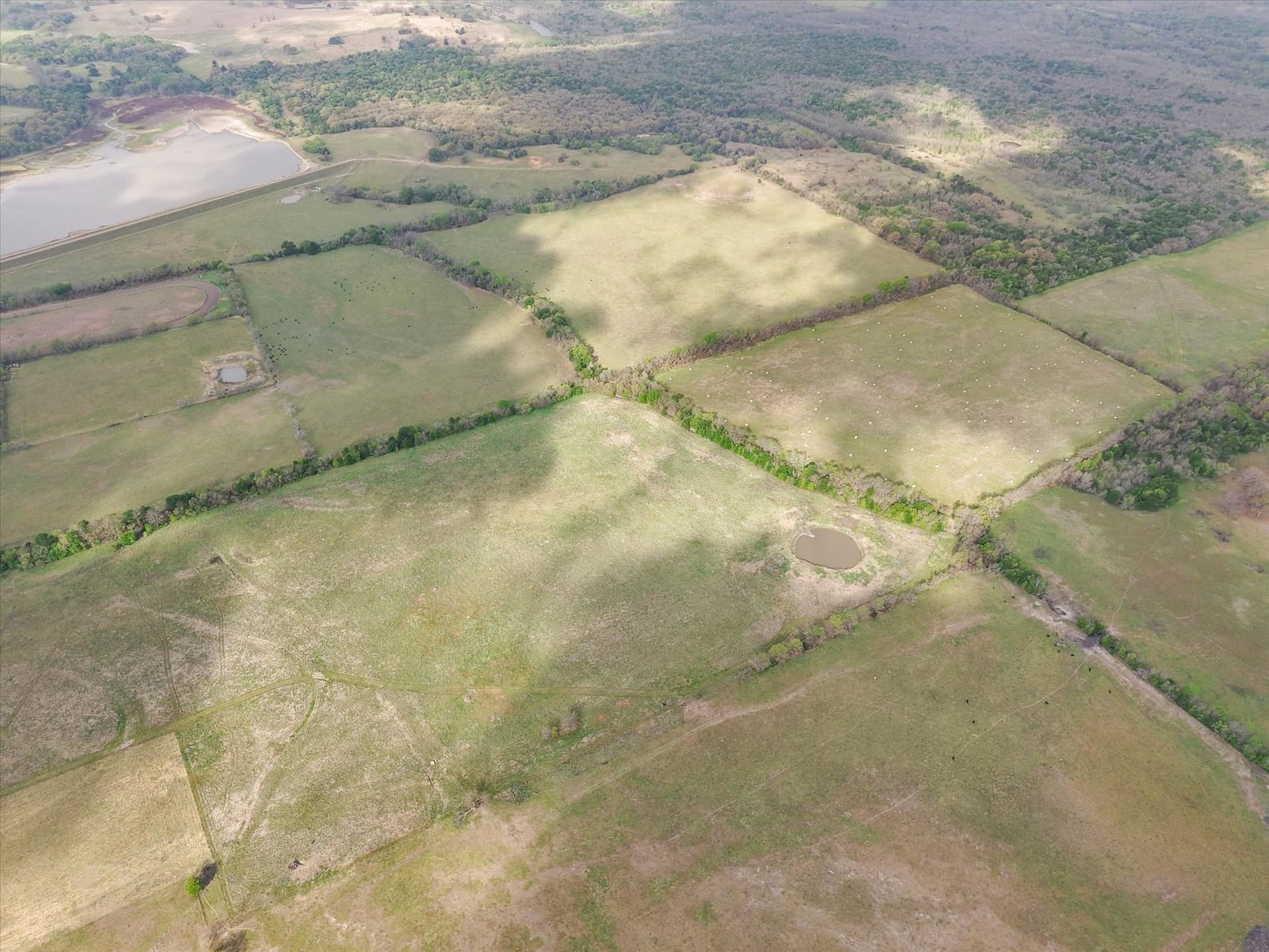 96.14 acres in Navarro County - photo 7