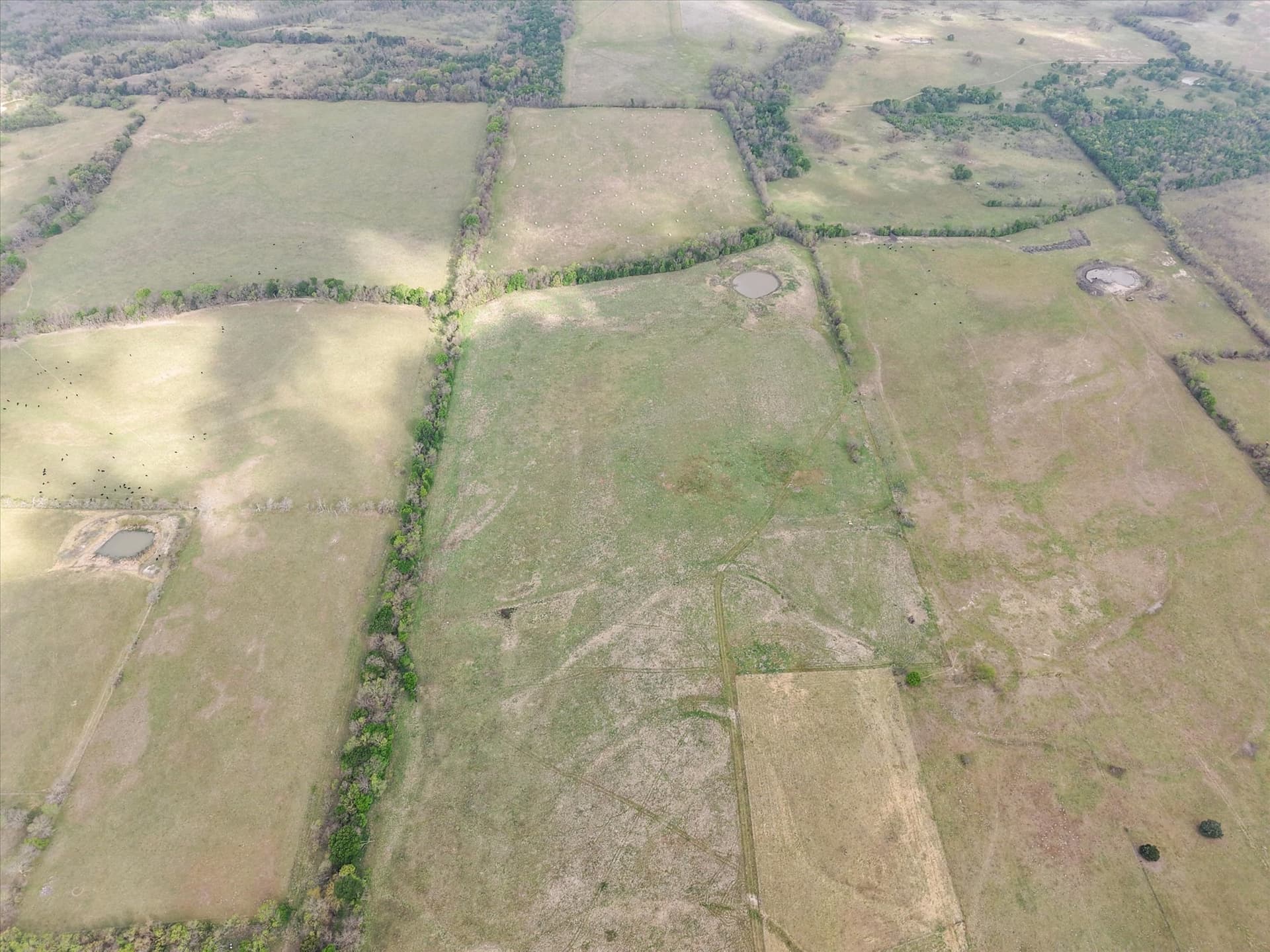 96.14 acres in Navarro County - photo 5