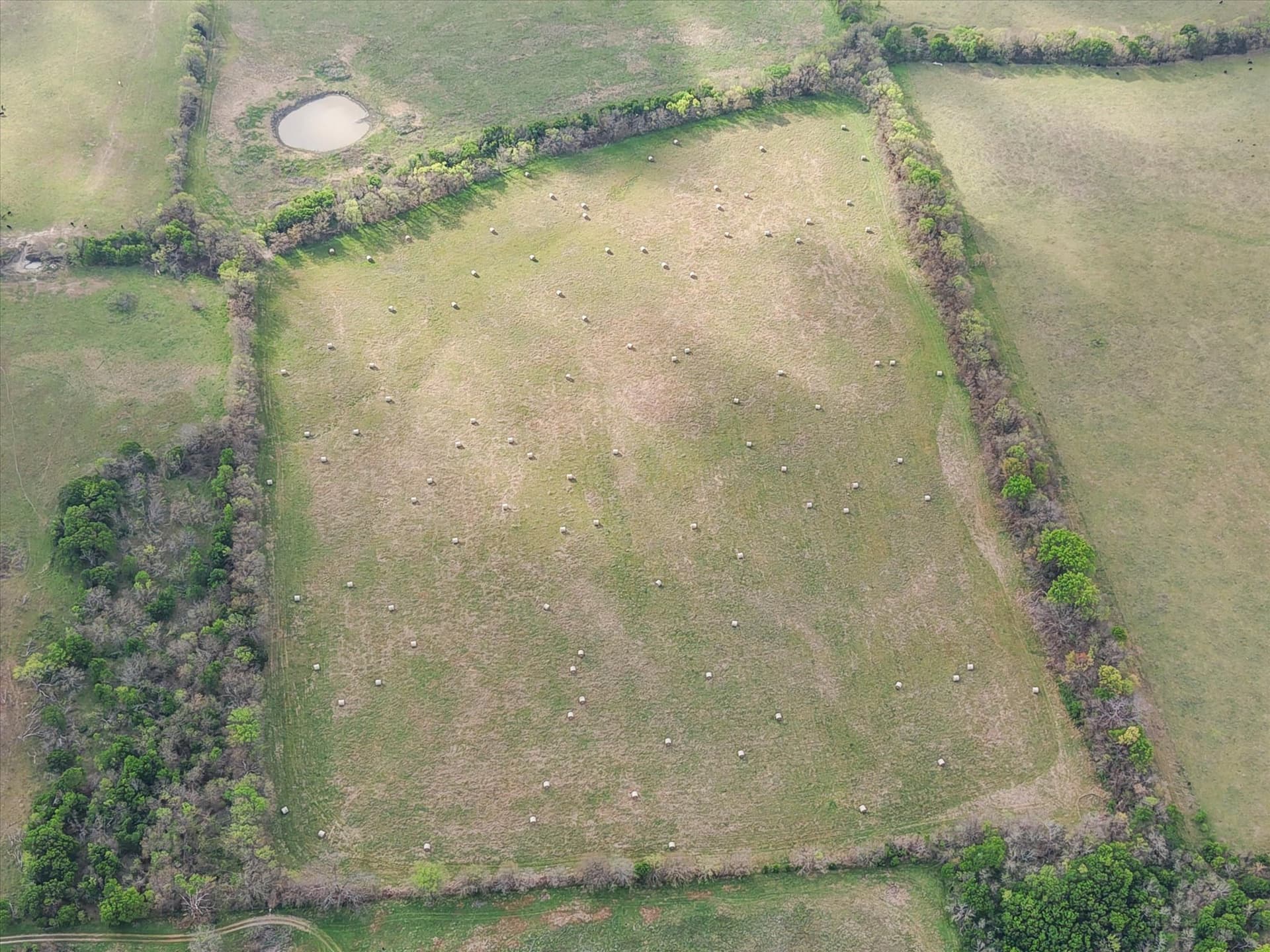96.14 acres in Navarro County - photo 10