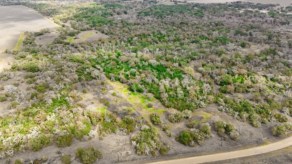 14 acres in Texas County gallery image 4