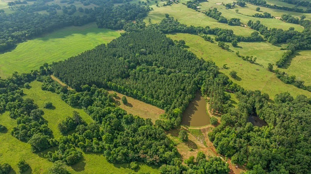 50 acres in Texas County gallery image 2