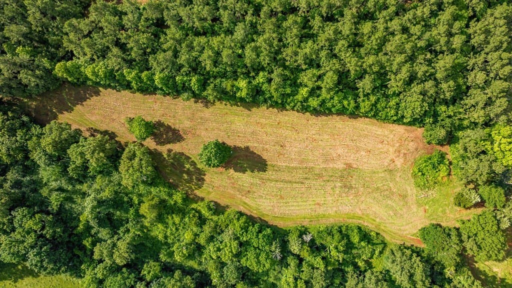 50 acres in Texas County gallery image 4