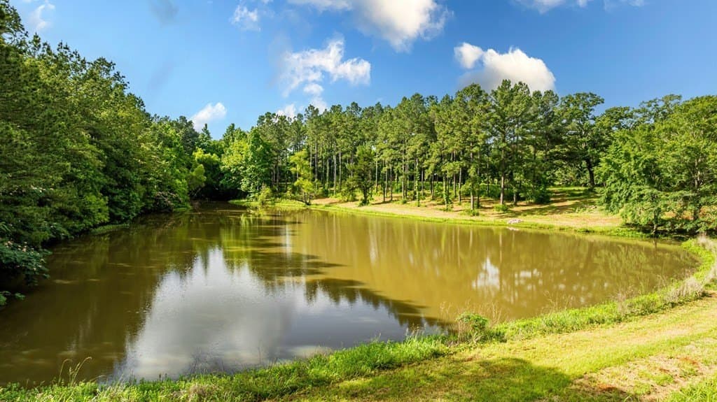 50 acres in Texas County - photo 7