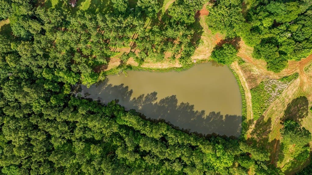 50 acres in Texas County featured view