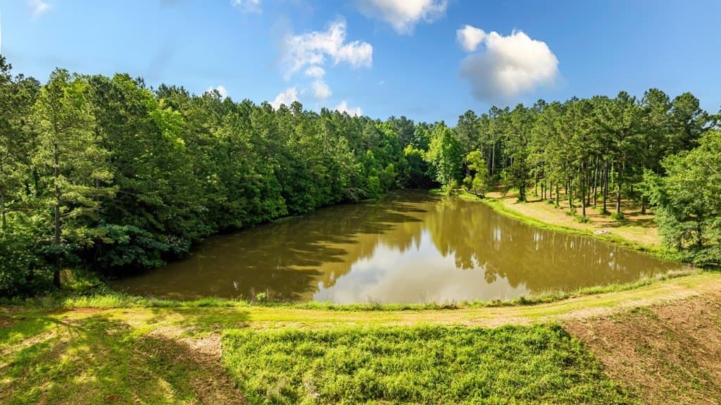 50 acres in Texas County - photo 6