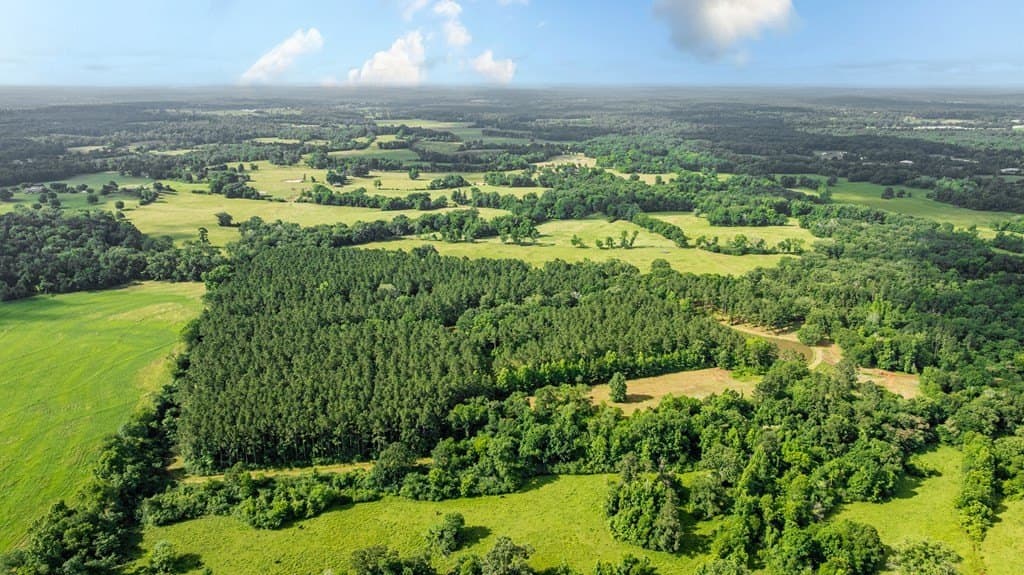 50 acres in Texas County gallery image 3