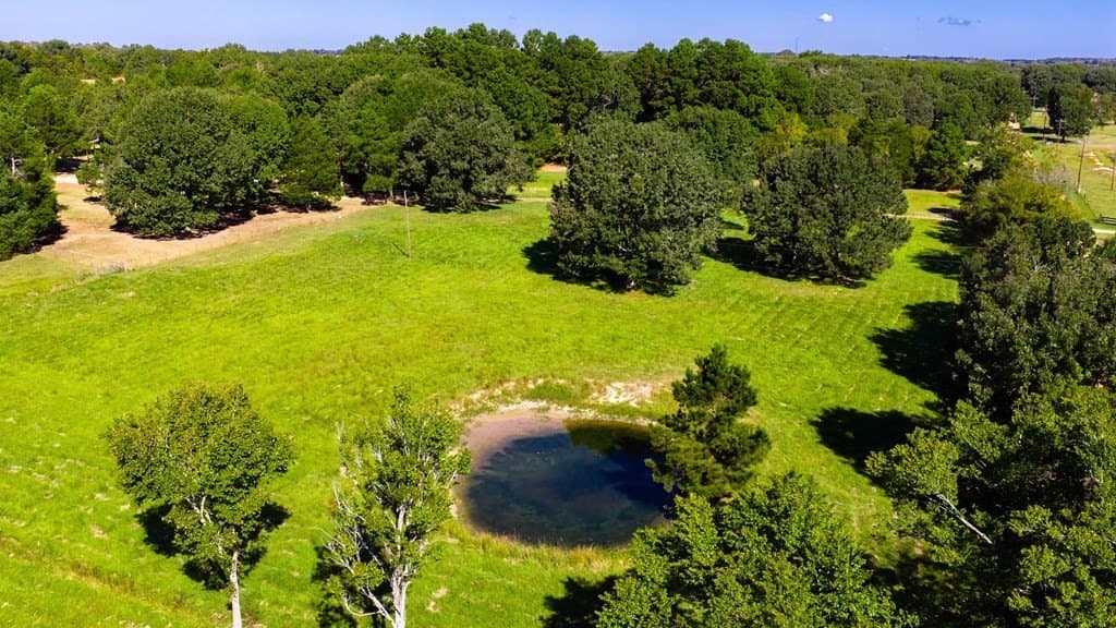 10.13 acres in Henderson County - photo 24