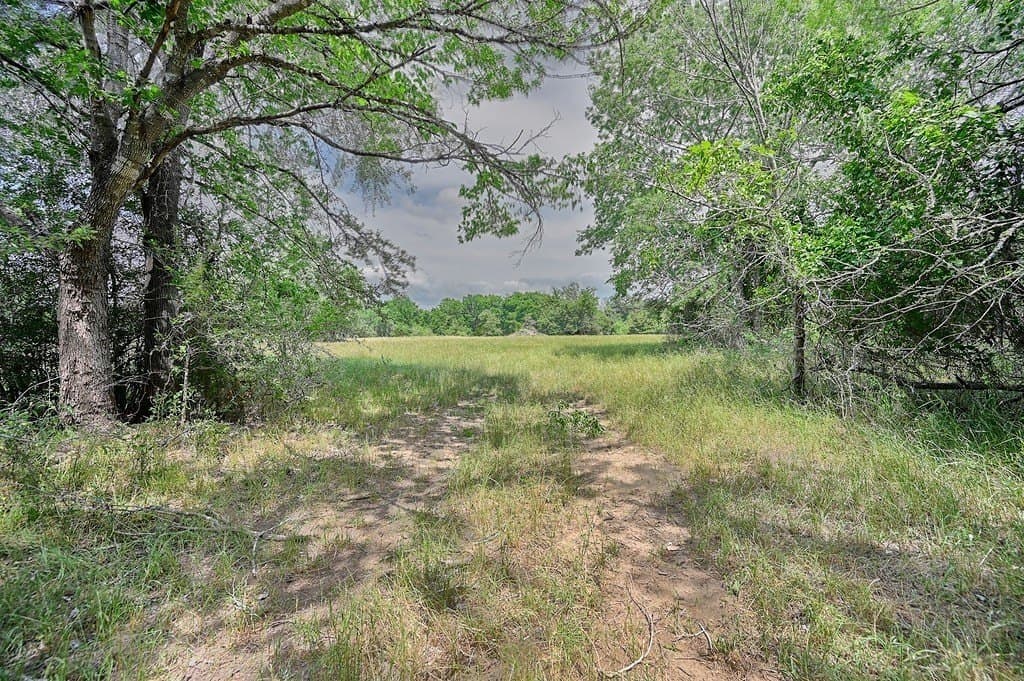 107.46 acres in Bastrop County - photo 10