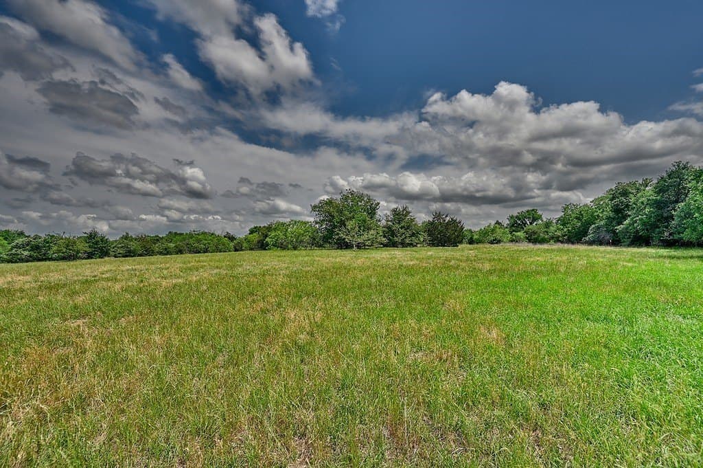 107.46 acres in Bastrop County - photo 7