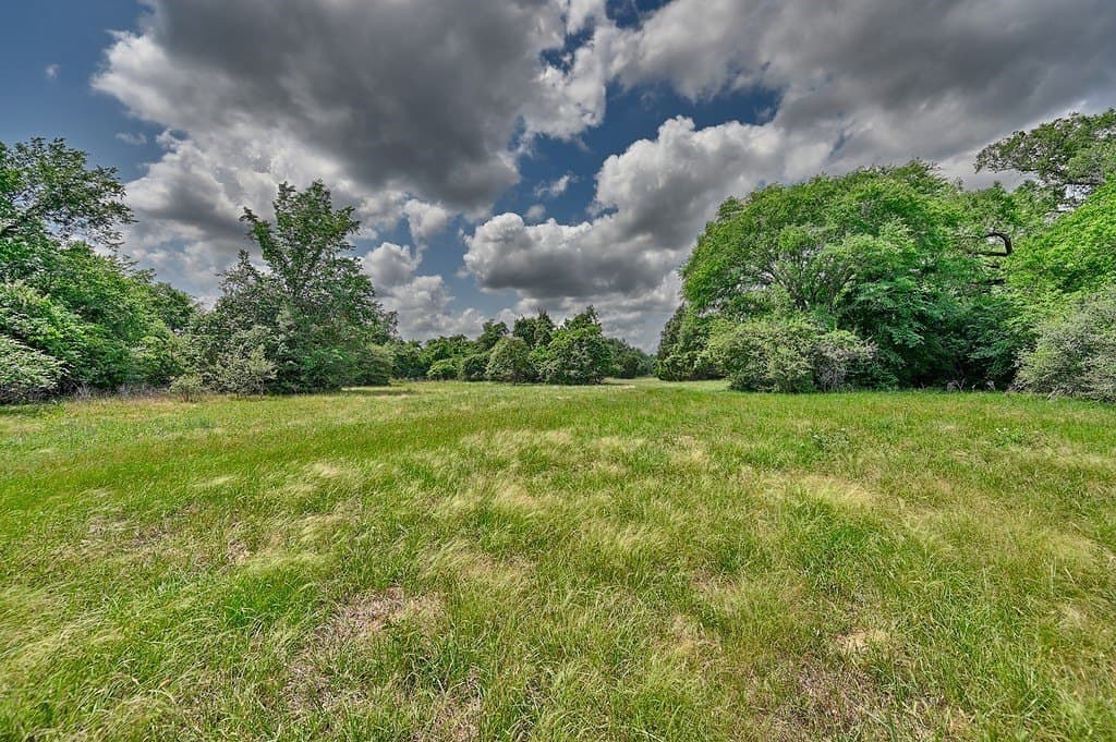 107.46 acres in Bastrop County - photo 6