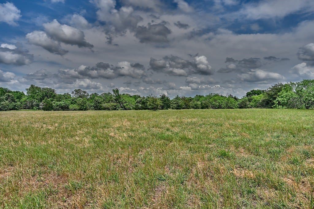 107.46 acres in Bastrop County - photo 12