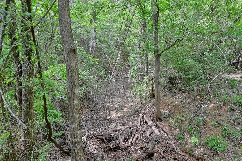 107.46 acres in Bastrop County - photo 17