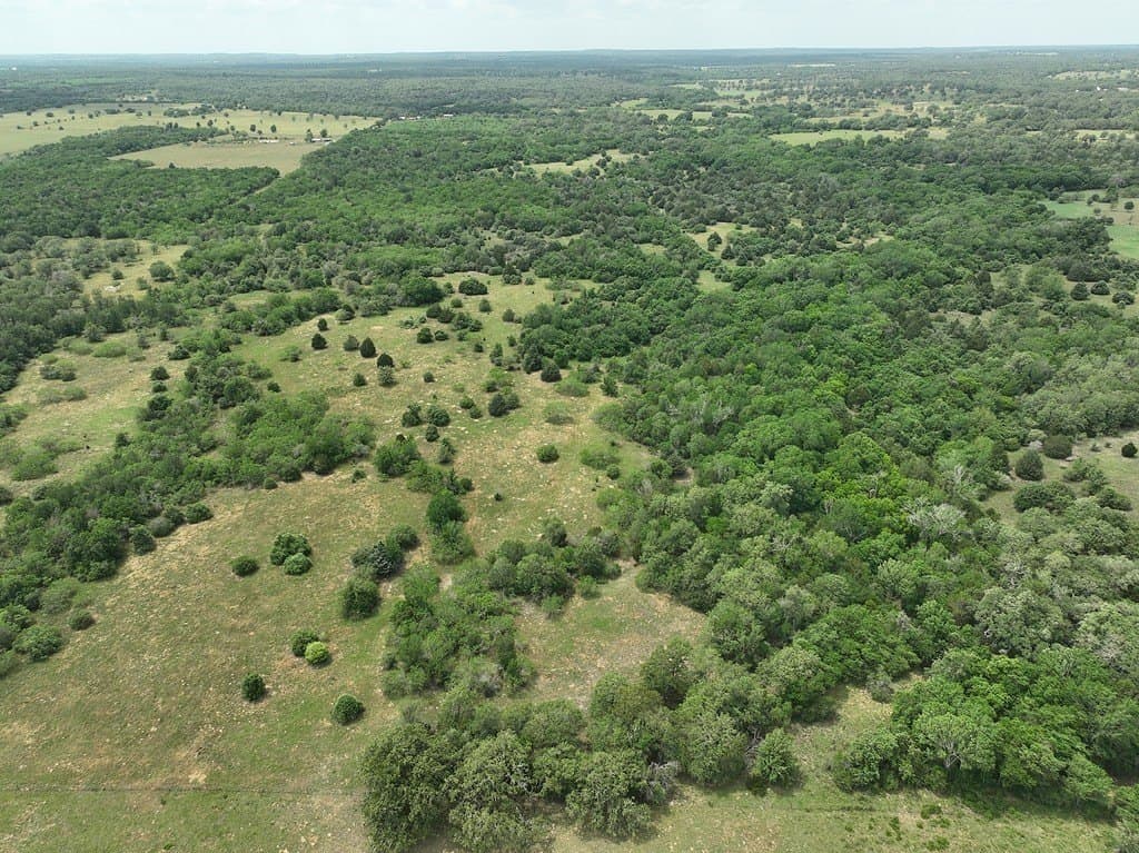 107.46 acres in Bastrop County - photo 18