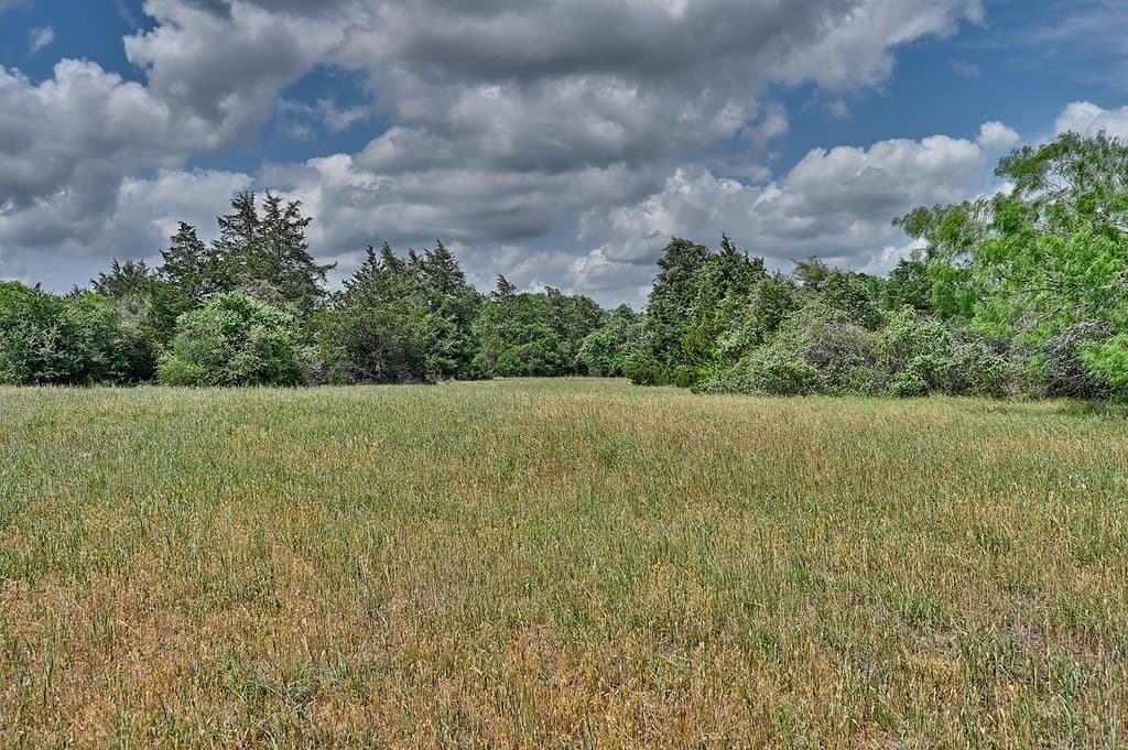 107.46 acres in Bastrop County - photo 14