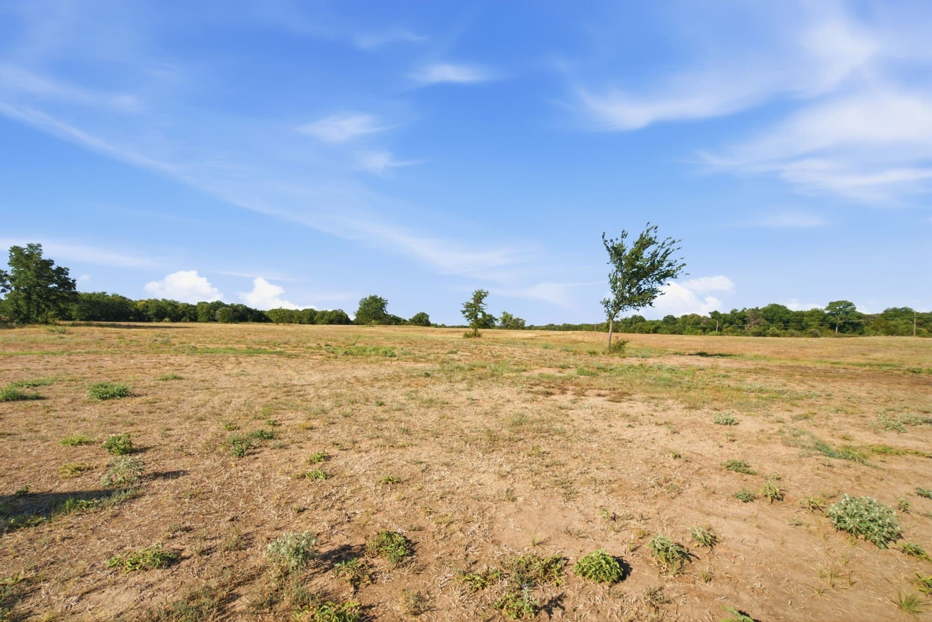 20 acres in Wise County - photo 19