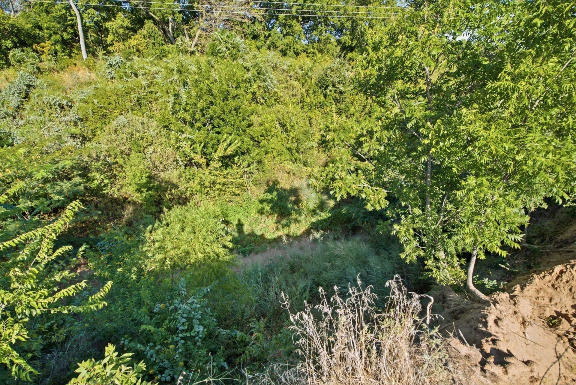20 acres in Wise County - photo 20