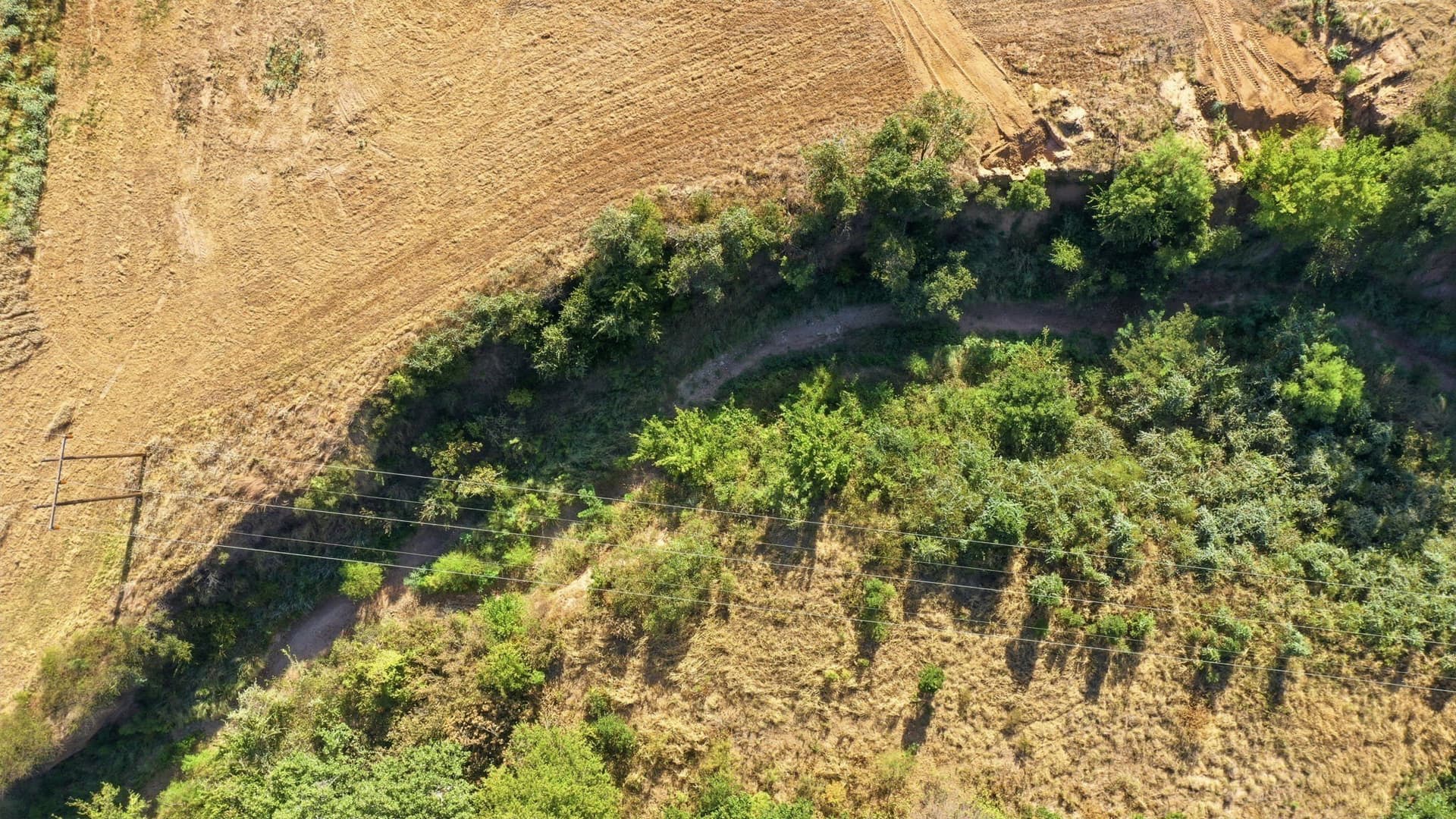 20 acres in Wise County - photo 23