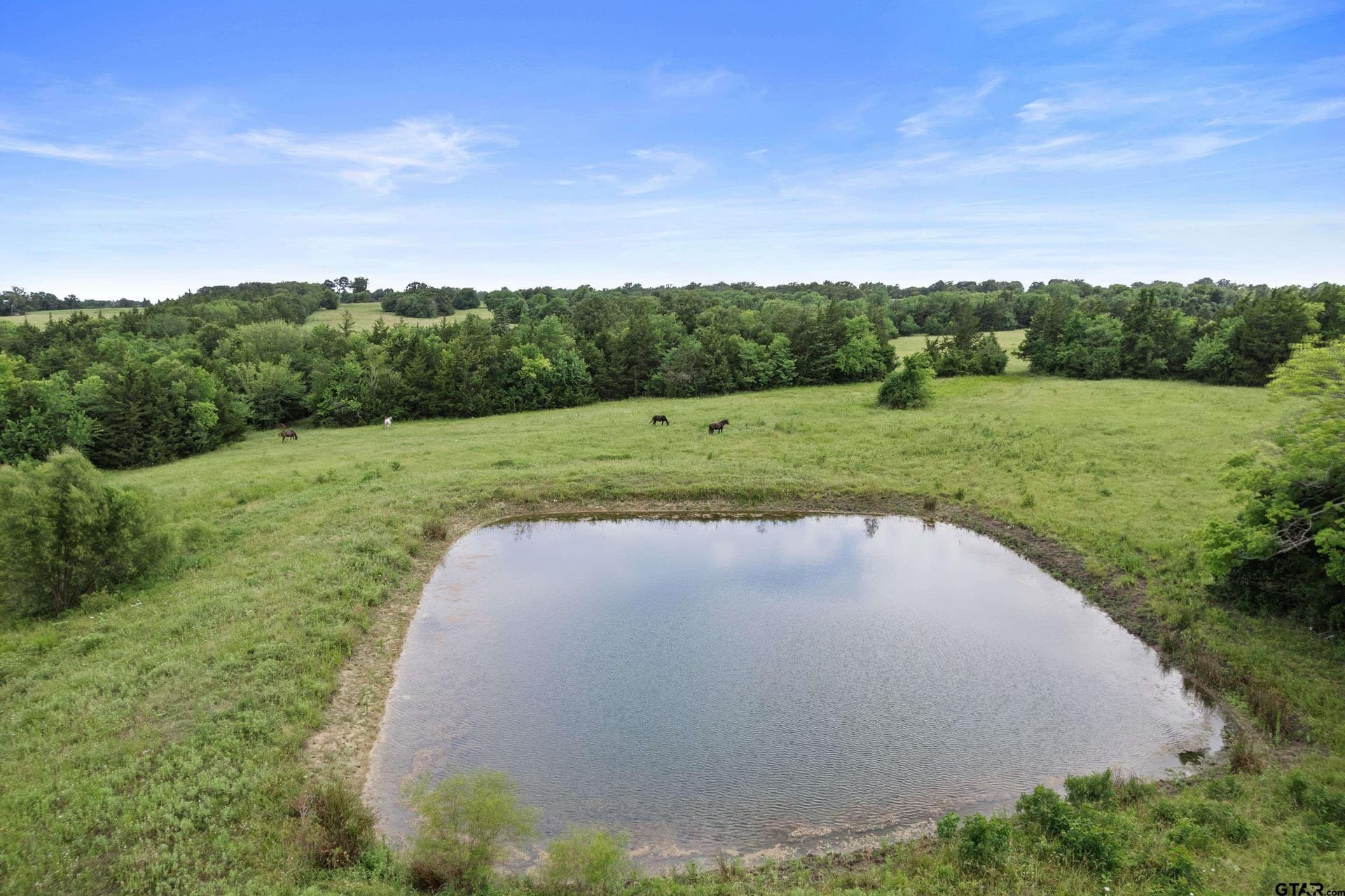 96 acres in Red River County - photo 46