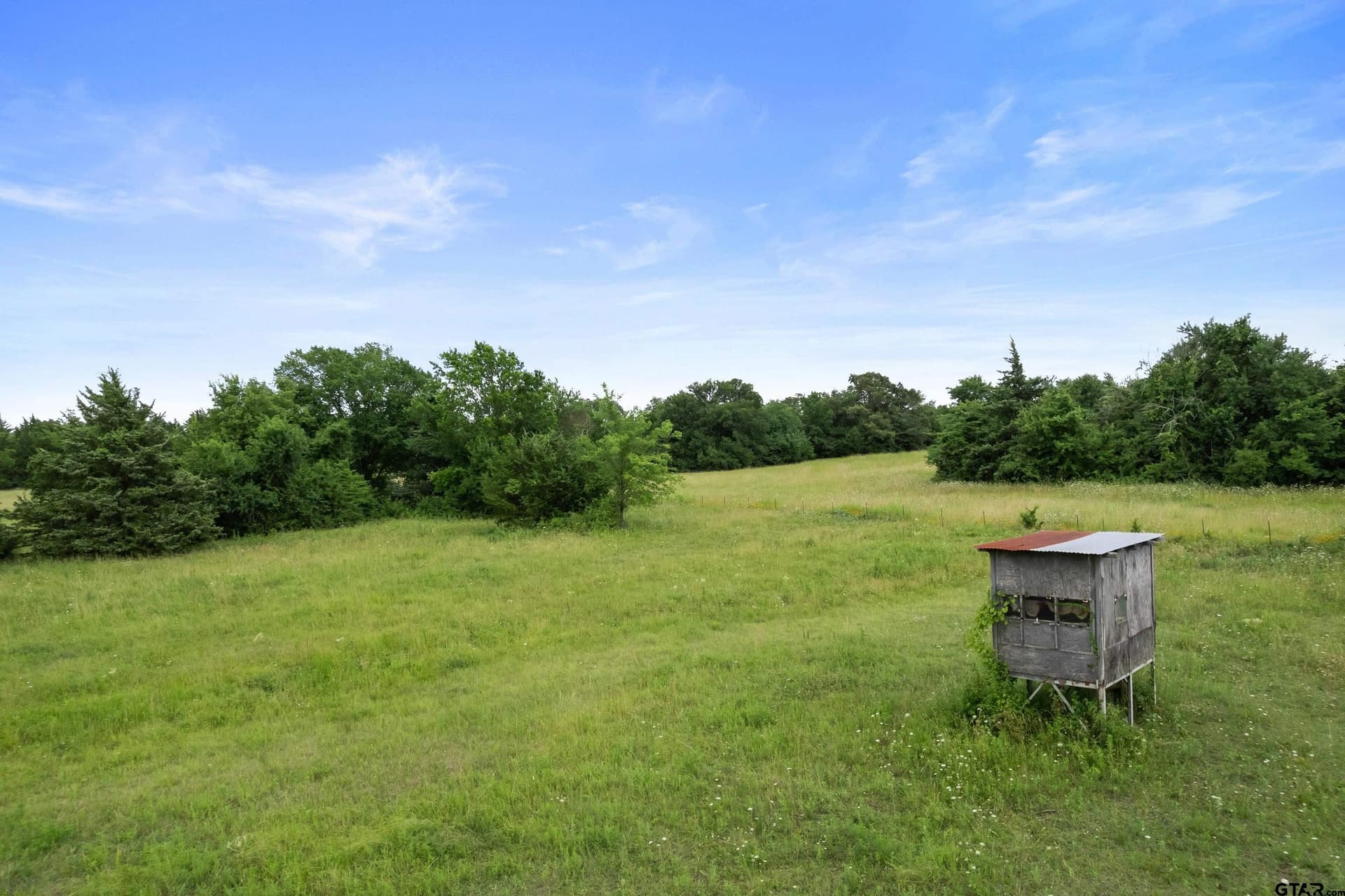 96 acres in Red River County - photo 39