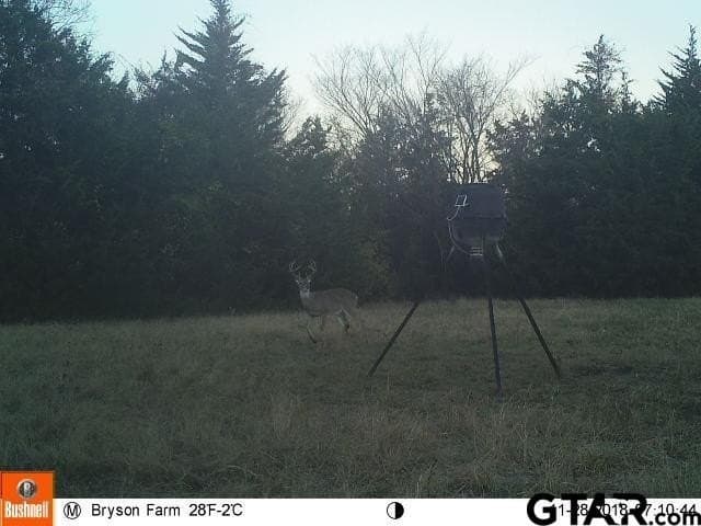 96 acres in Red River County - photo 40