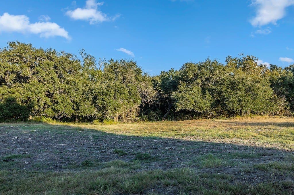 2.97 acres in Fayette County gallery image 4