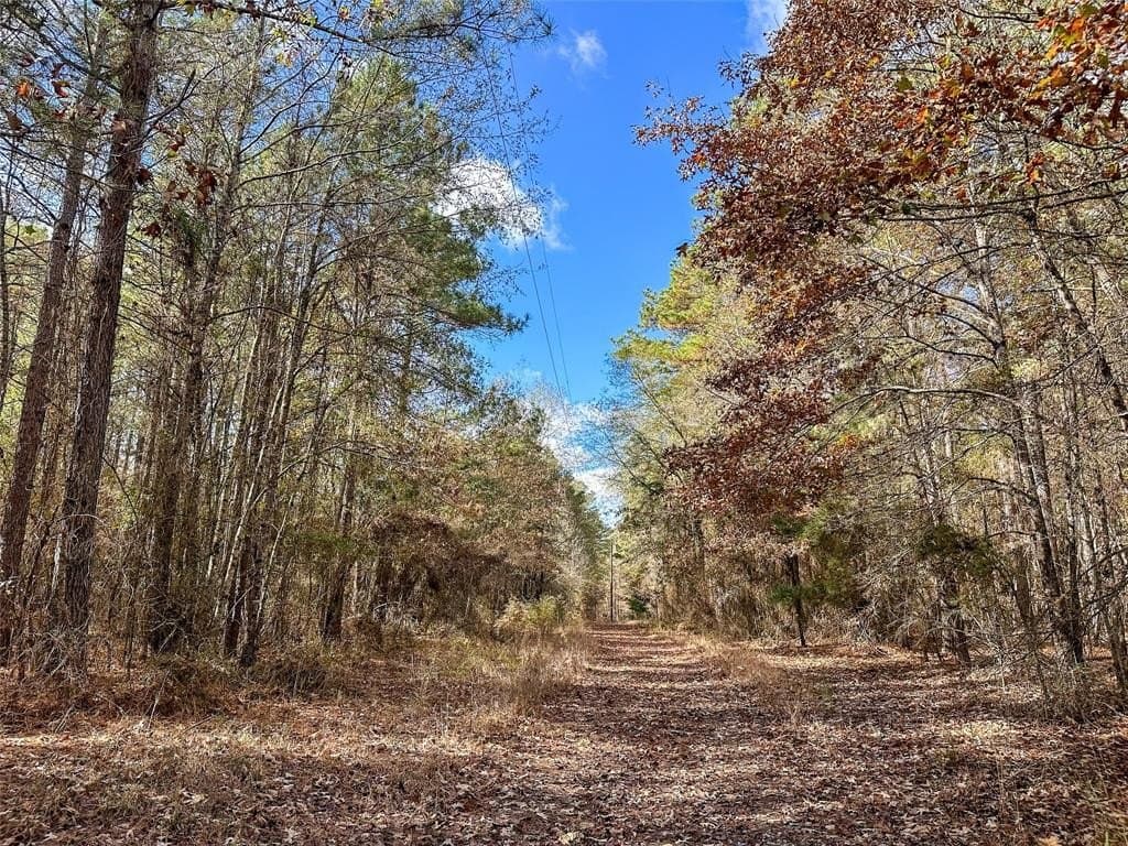 174.5 acres in Red River (TX) County featured view