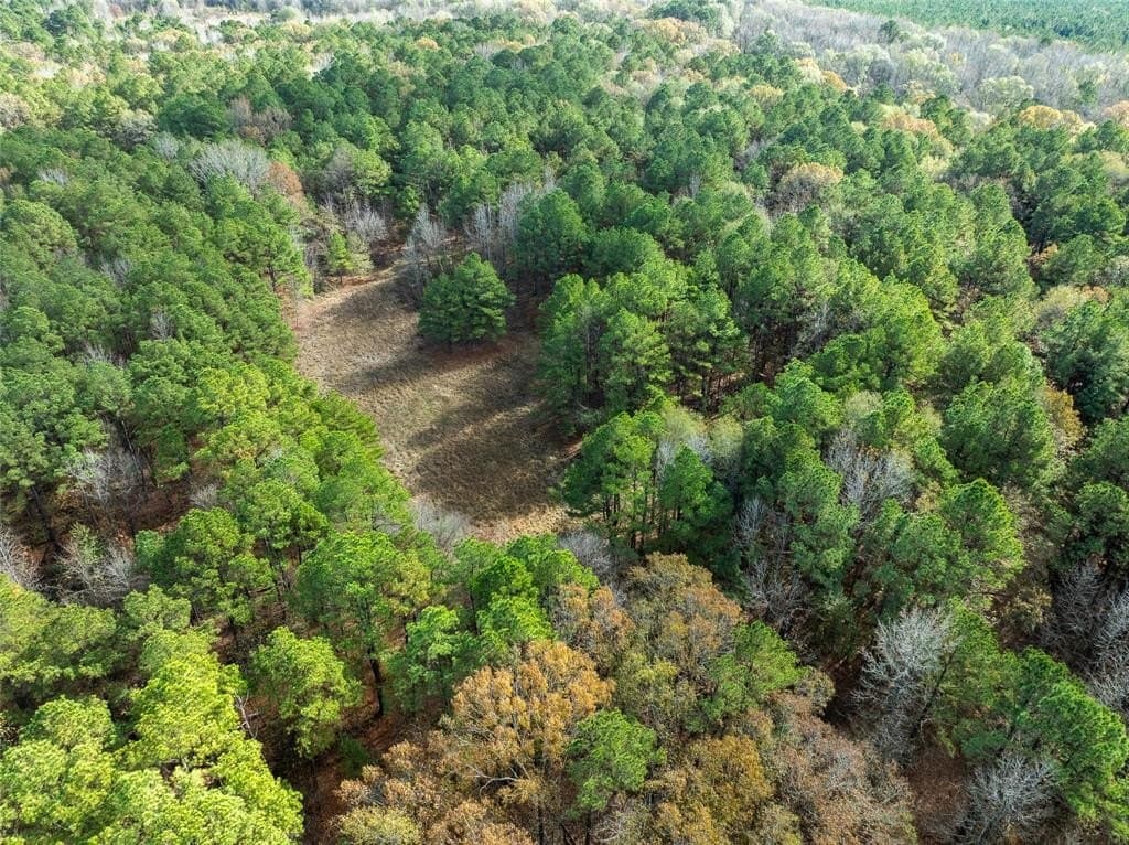 174.5 acres in Red River (TX) County gallery image 2