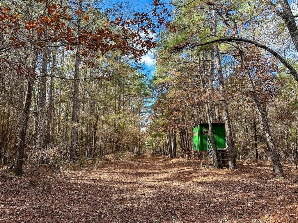 174.5 acres in Red River (TX) County gallery image 3