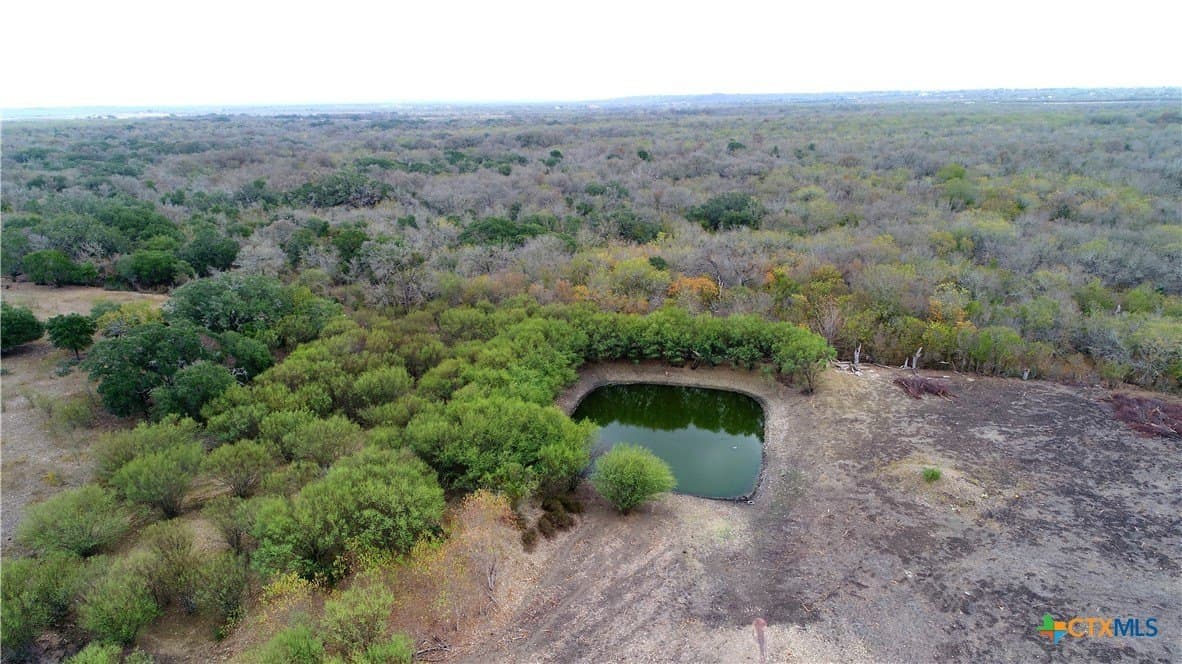 10.2 acres in Caldwell County gallery image 2