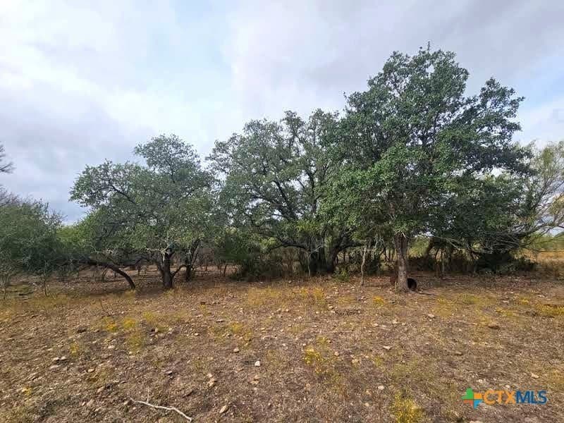 10.2 acres in Caldwell County