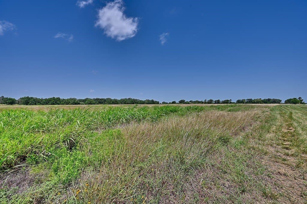 24.98 acres in Fayette County - photo 16